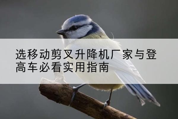 鄂州电动升降机厂家-选移动剪叉升降机厂家与登高车必看实用指南
