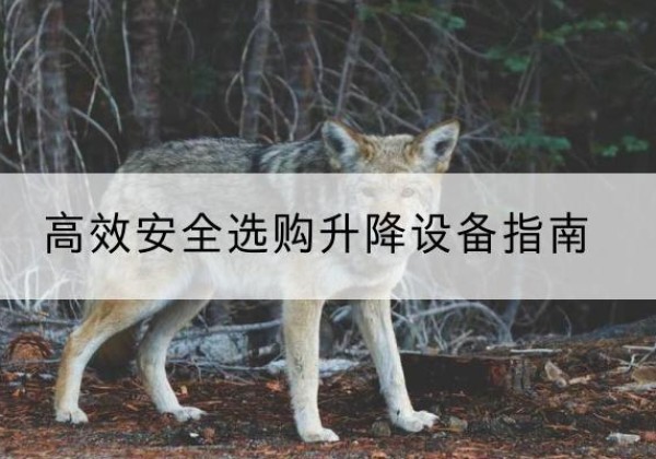 鄂州升降货梯厂家推荐-*安全选购升降设备指南