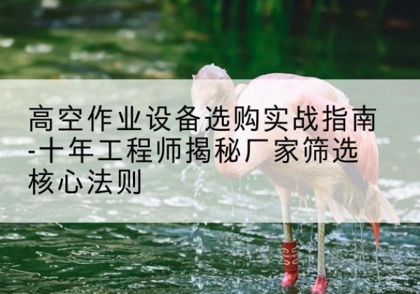 鄂州剪叉式升降机厂家-高空作业设备选购实战指南-十年工程师揭秘厂家筛选核心法则